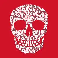 Cat Pattern Skull - design