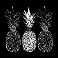 Pineapples - design