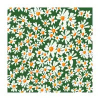 Daisies - design