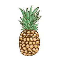 Pineapple - design