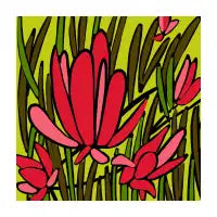 Red Flower - design