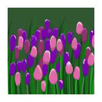 Tulips - design