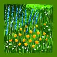 Wildflowers - design