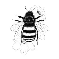 Abeja - design