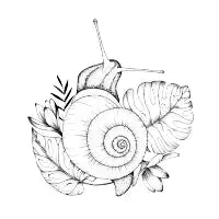 Caracola - design