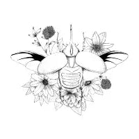 Cornizuelo - design