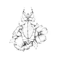 Insecto Hoja - design