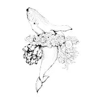 Whale in a tutu - design