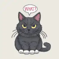 Black Cat Says What - design