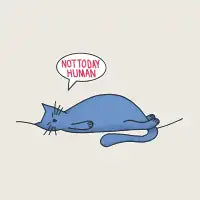 Cat Nap - design