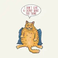 Cat Nip - design