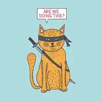 Ninja Cat - design