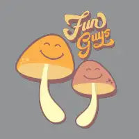Fun Guys - design