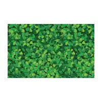 Hedge - design