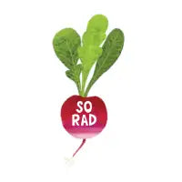So Rad - design