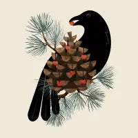 Bird & Berries - design