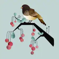 Bird, Watching - design