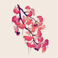 O, Ginkgo - design