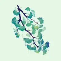 O Ginkgo (in Green) - design