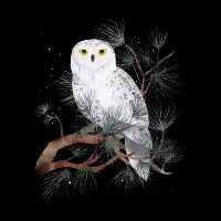Snowy - design