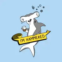 Hammered - design