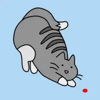 The Red Dot - design