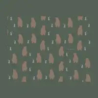 B&R Pattern - design