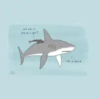 I'M A SHARK - design
