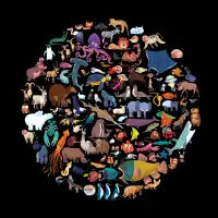Animal Kingdom - design