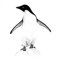 Adelie penguin - design