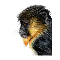 Baby mandrill monkey - design