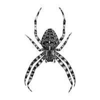 Garden spider - design