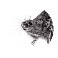 Harvest mouse circle illustration - design