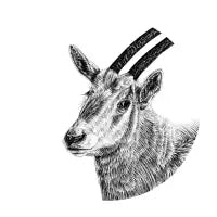 Scimitar-horned oryx - design