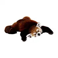 Sleeping red panda - design