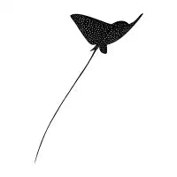 Spotted eagle ray - design