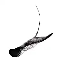 Stingray - design