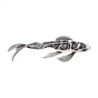 Taisho sanke koi fish illustration - design