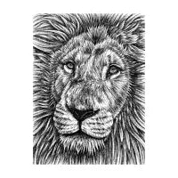 White lion - design