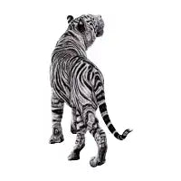 White tiger illustration - design