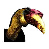 Wrinkled hornbill - design
