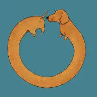 Dog in the loop - design