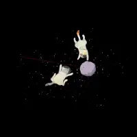 Space cats - design