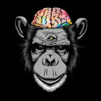Candy Brain - design