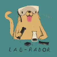 lab-rador - design