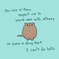 Maggie Drug Test - design