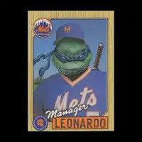 Leonardo - design