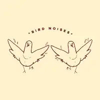 Bird noises - design