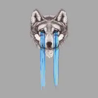 Don't Cry Wolf - design