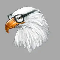Eagle Eye - design